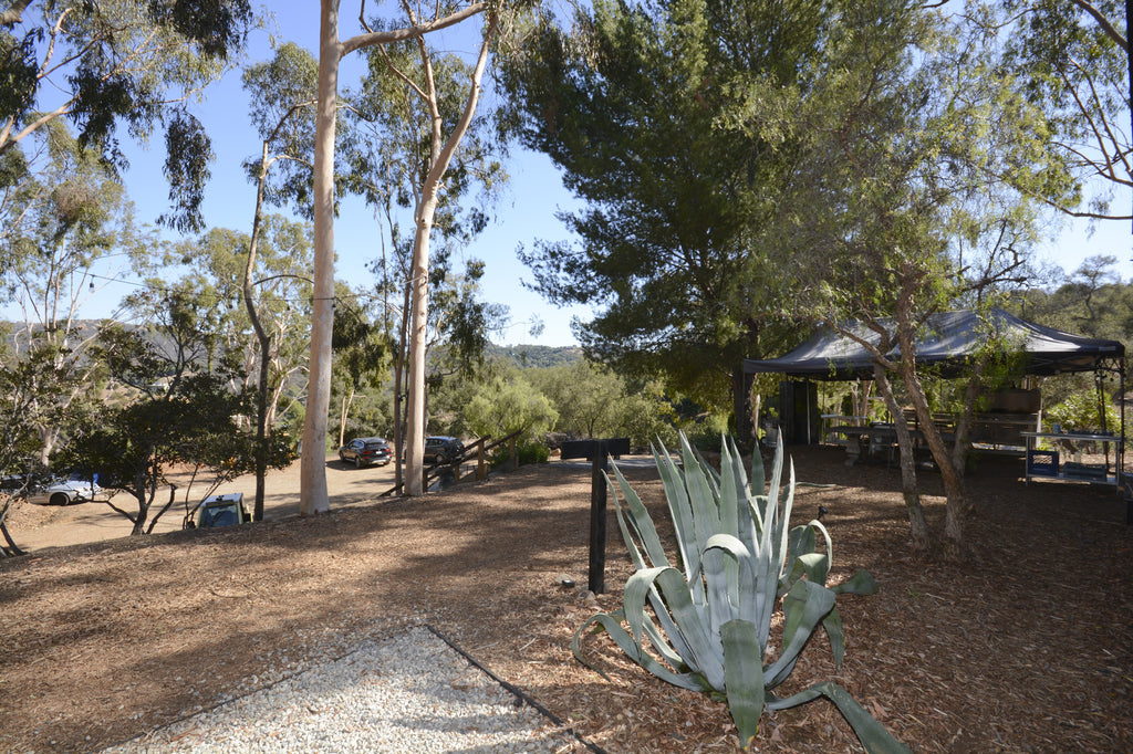 RA3125-05 - The Great Hall