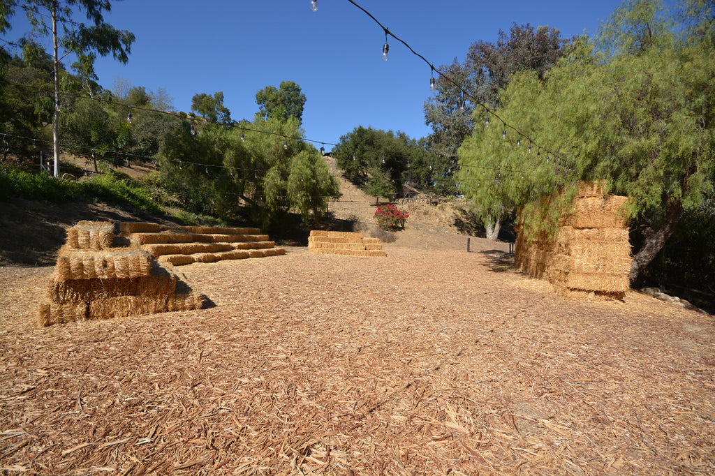 RA3125-05 - The Great Hall