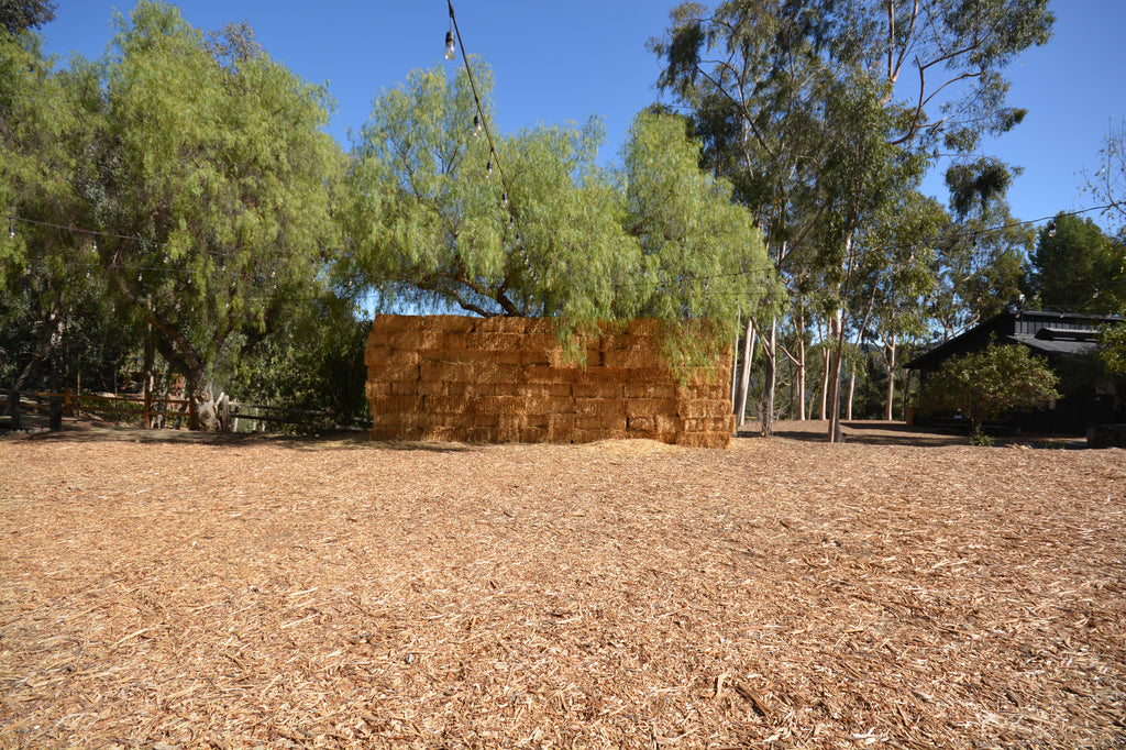 RA3125-05 - The Great Hall