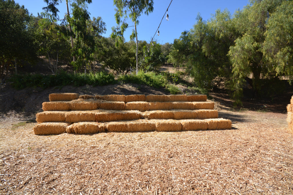 RA3125-05 - The Great Hall