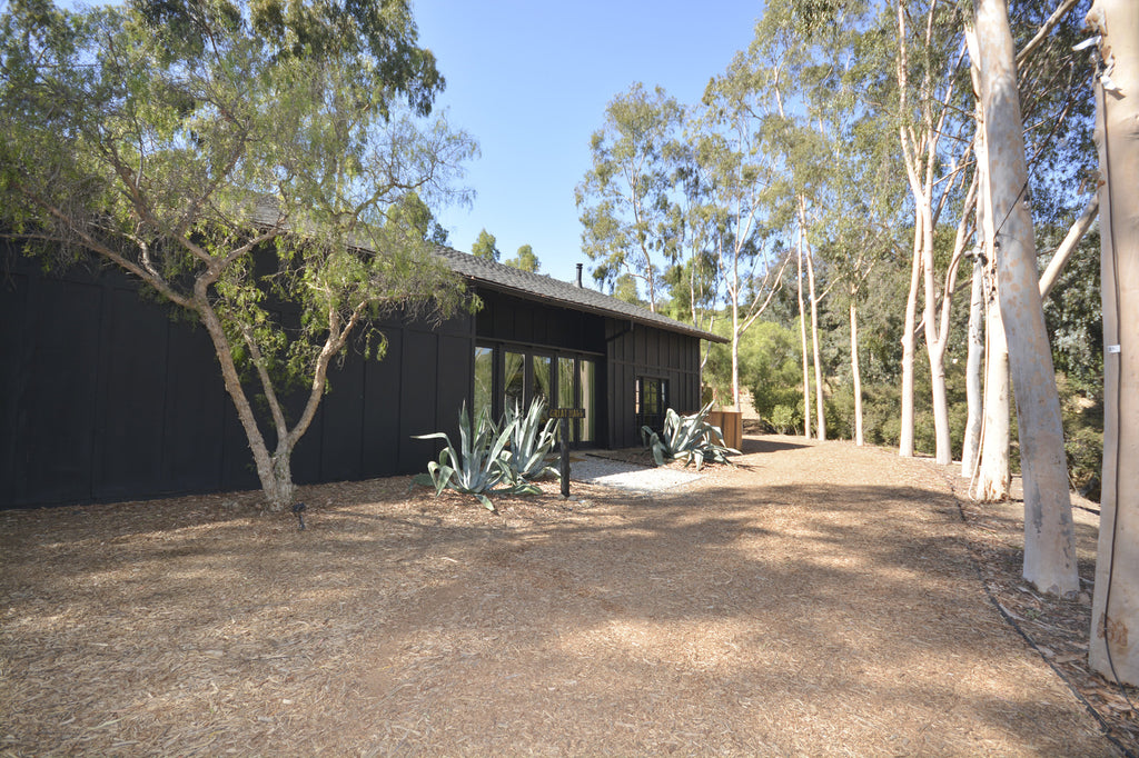 RA3125-05 - The Great Hall