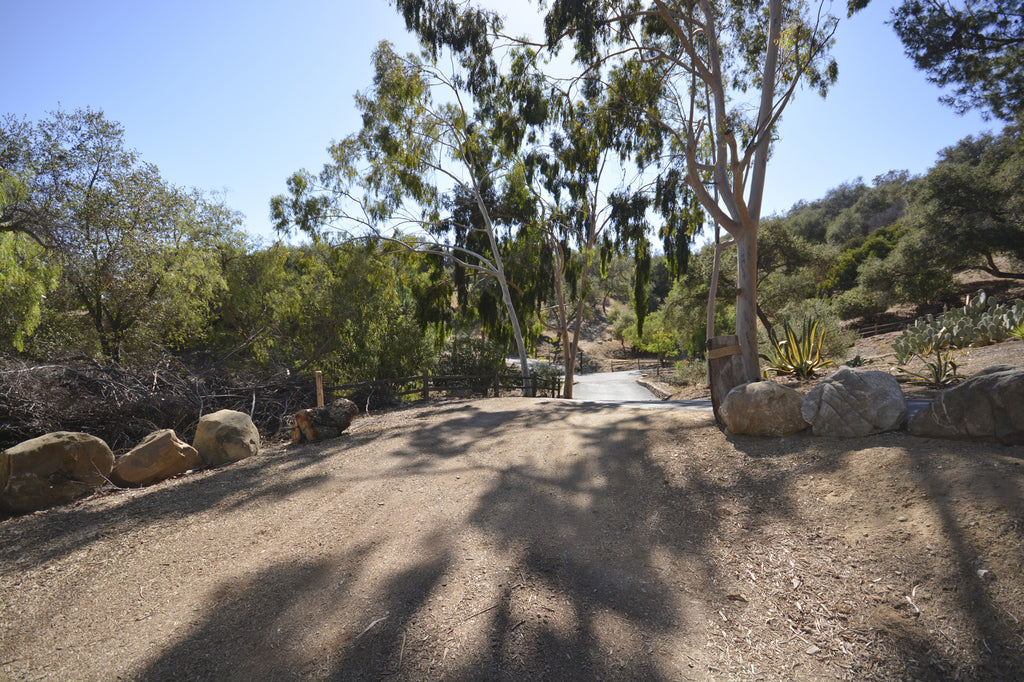 RA3125-05 - The Great Hall