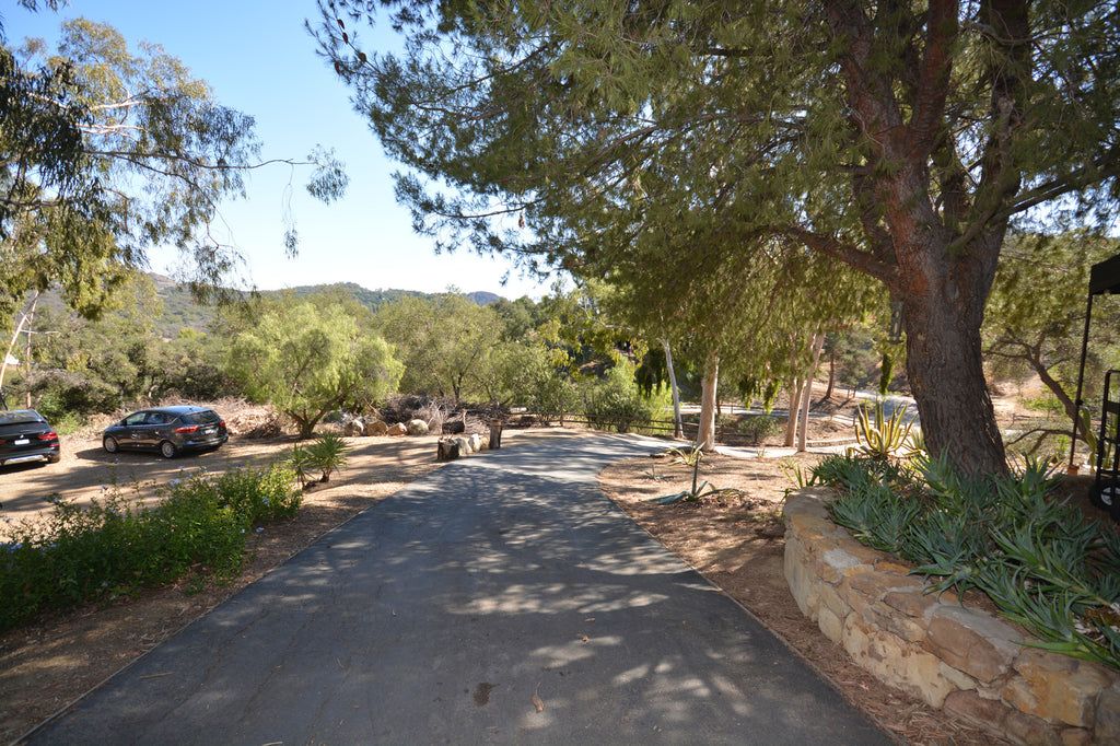 RA3125-05 - The Great Hall