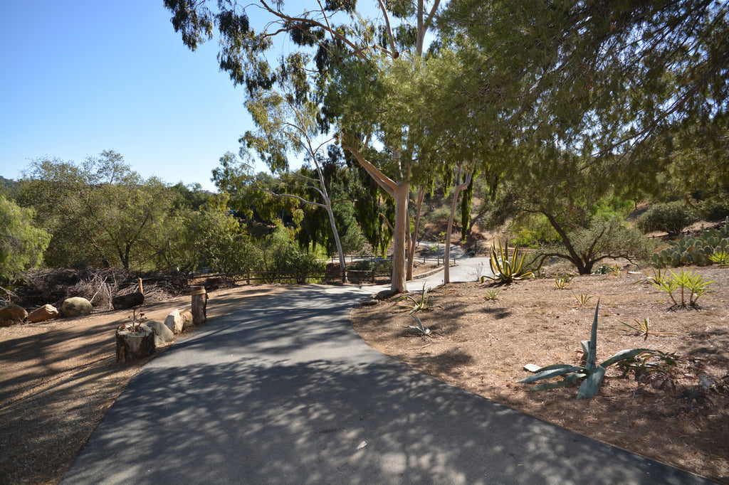 RA3125-05 - The Great Hall