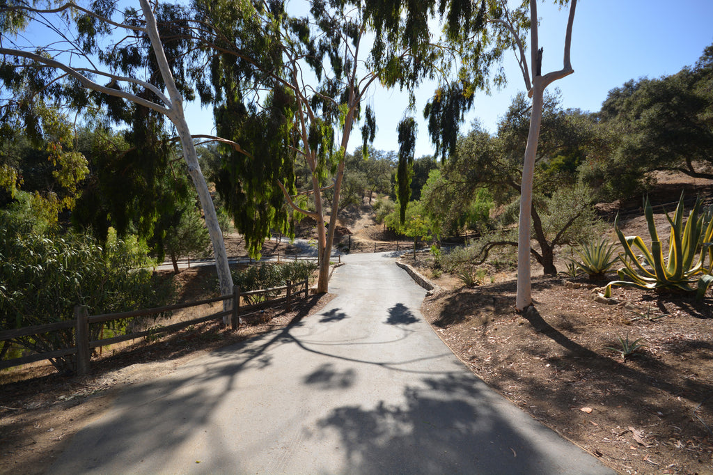 RA3125-05 - The Great Hall