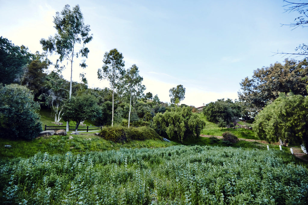 RA3125-05 - The Great Hall