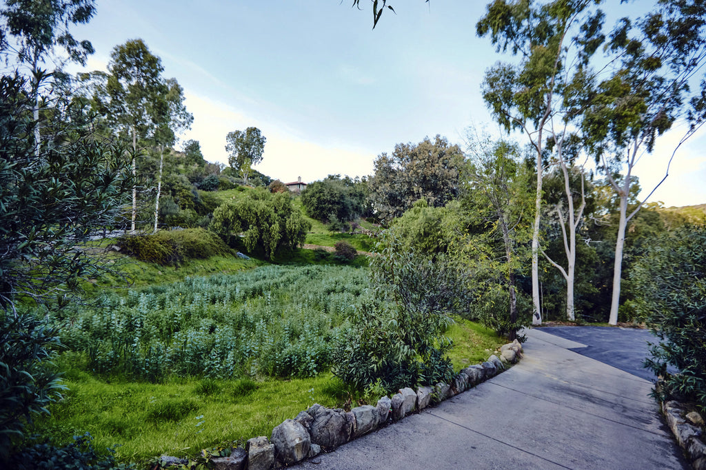 RA3125-05 - The Great Hall