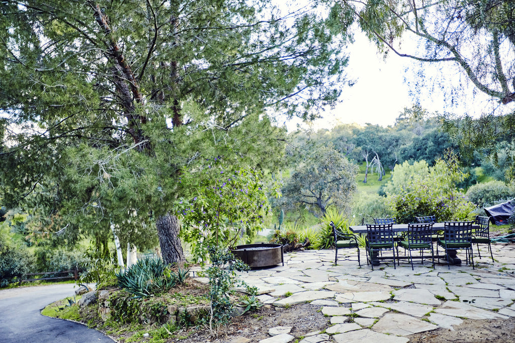 RA3125-05 - The Great Hall