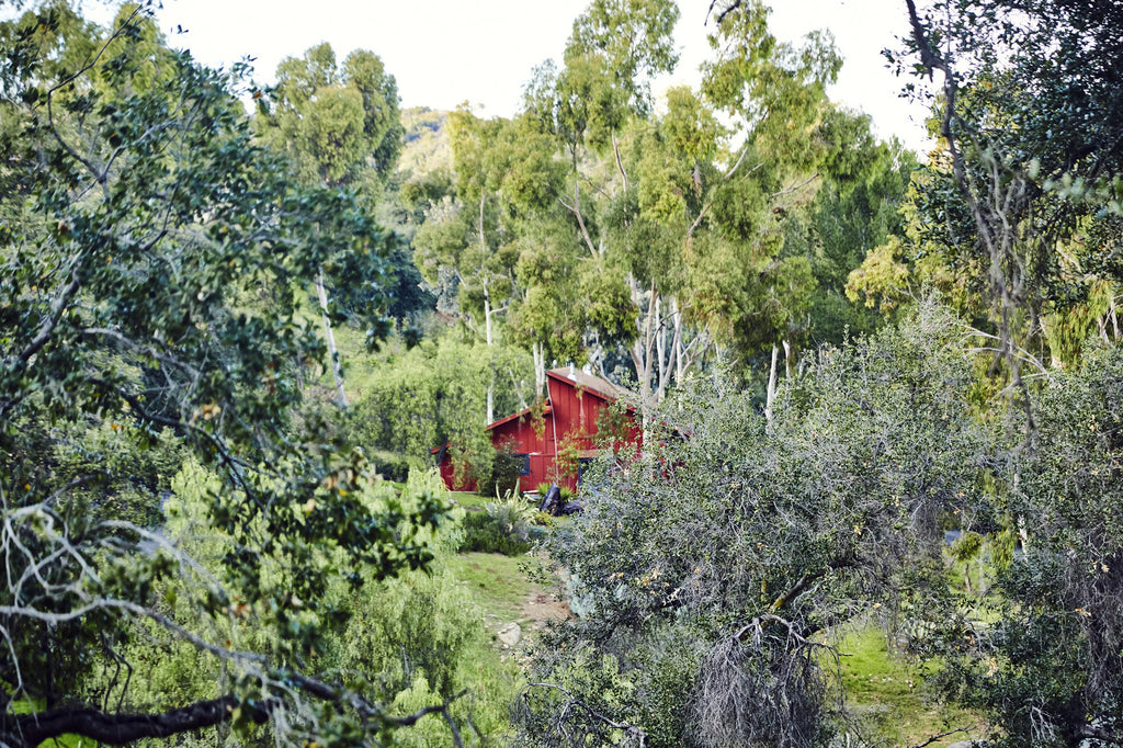 RA3125-05 - The Great Hall