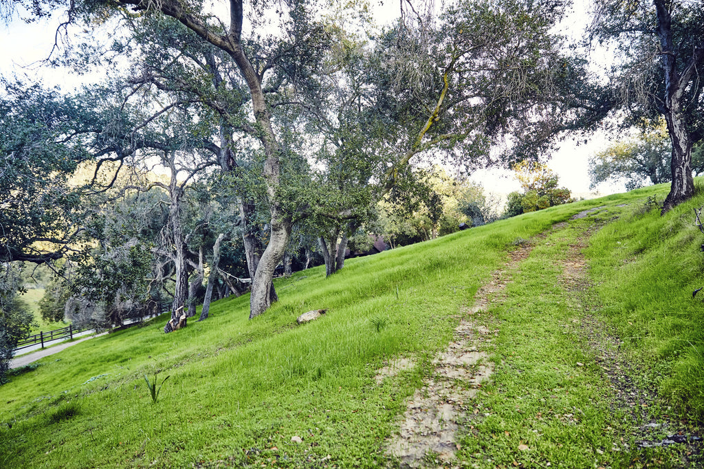 RA3125-05 - The Great Hall