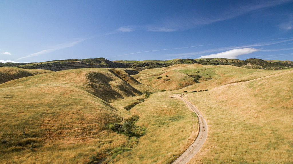 Movie Ranch - RA3126