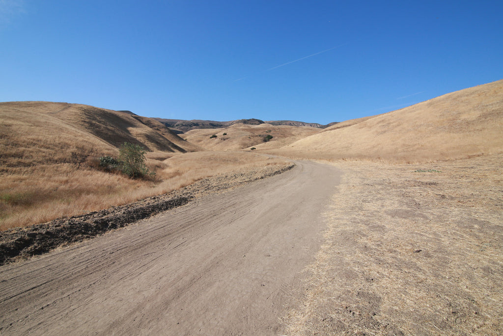 Movie Ranch - RA3126