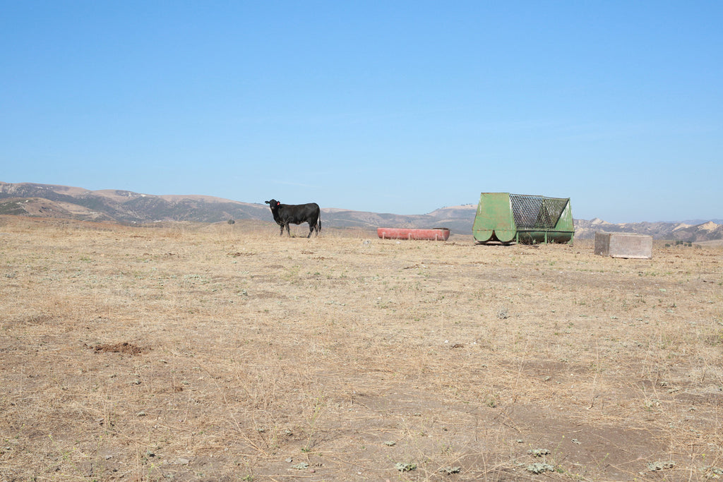 Movie Ranch - RA3126