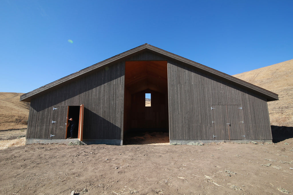 Movie Ranch - RA3126