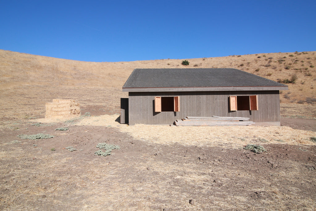 Movie Ranch - RA3126