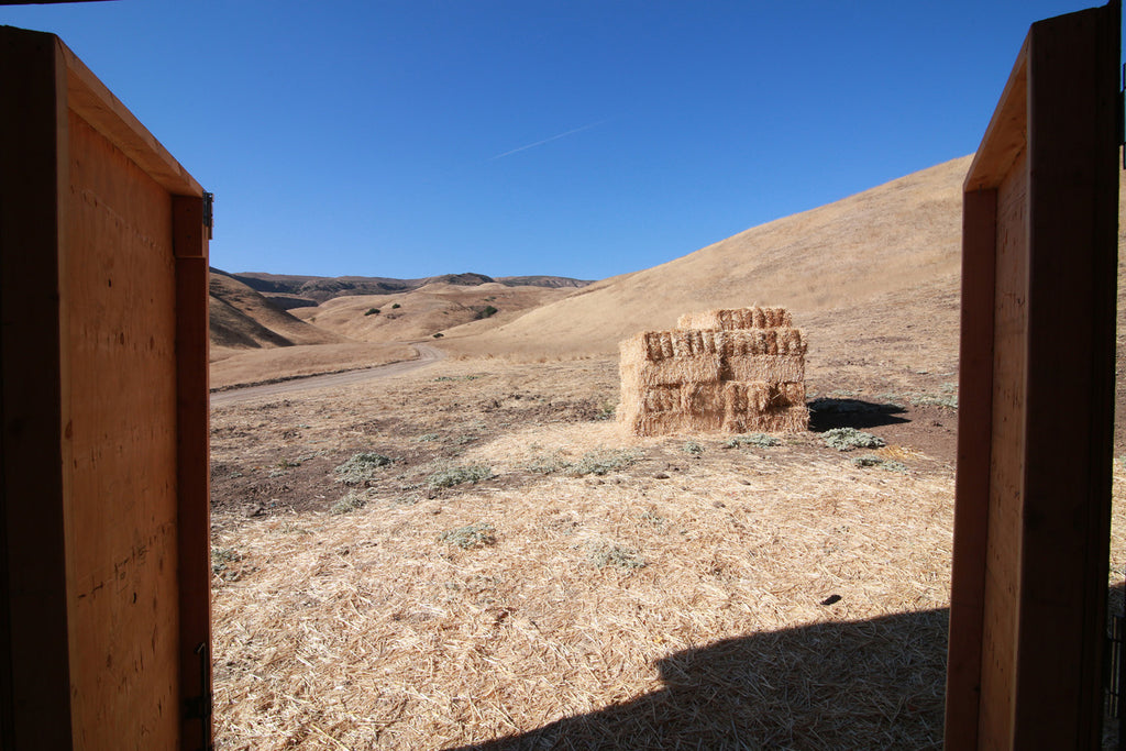 Movie Ranch - RA3126