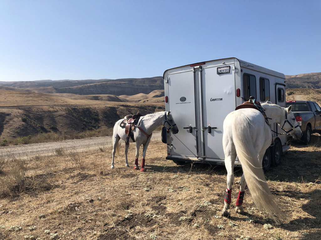 Movie Ranch - RA3126