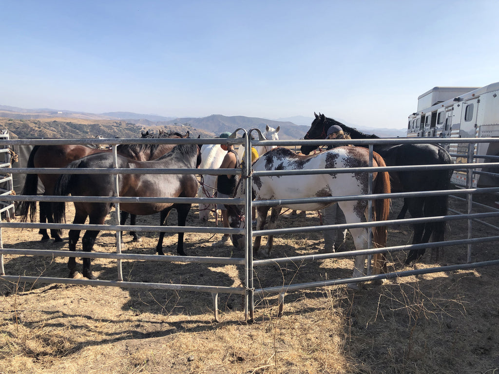 Movie Ranch - RA3126