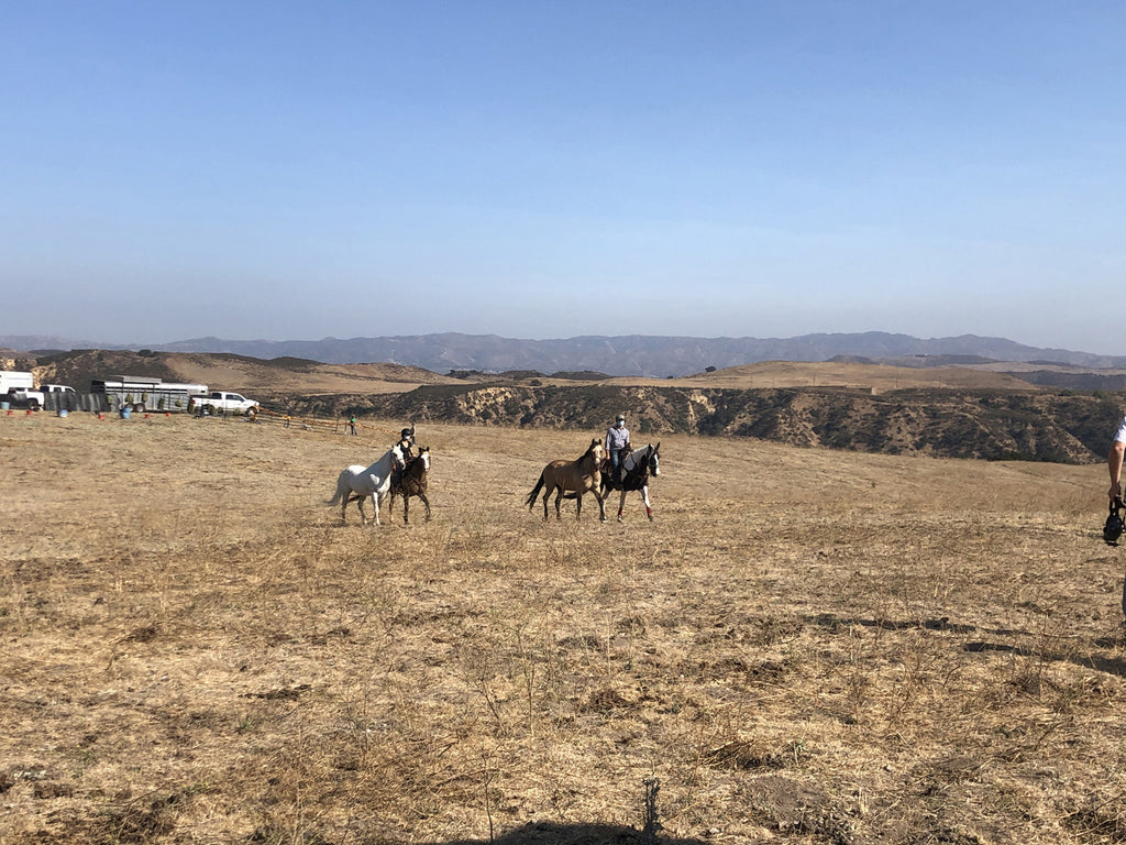 Movie Ranch - RA3126