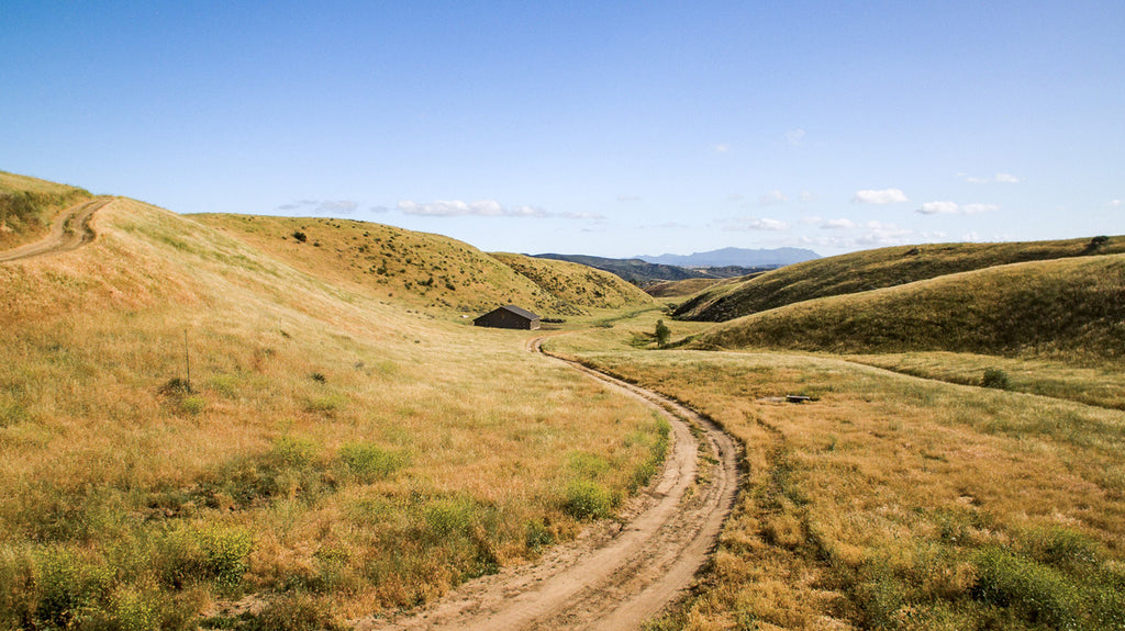 Movie Ranch - RA3126