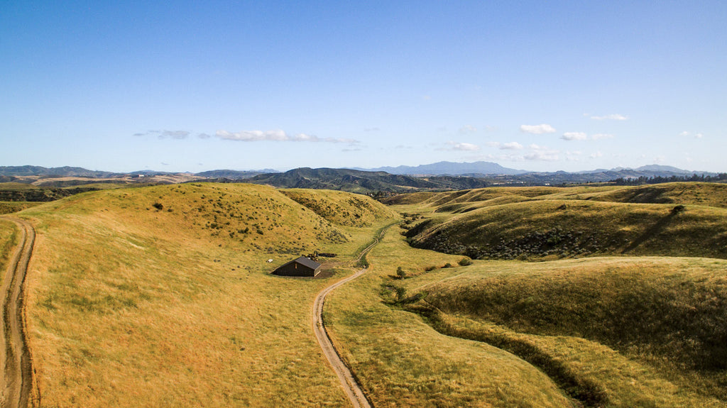 Movie Ranch - RA3126