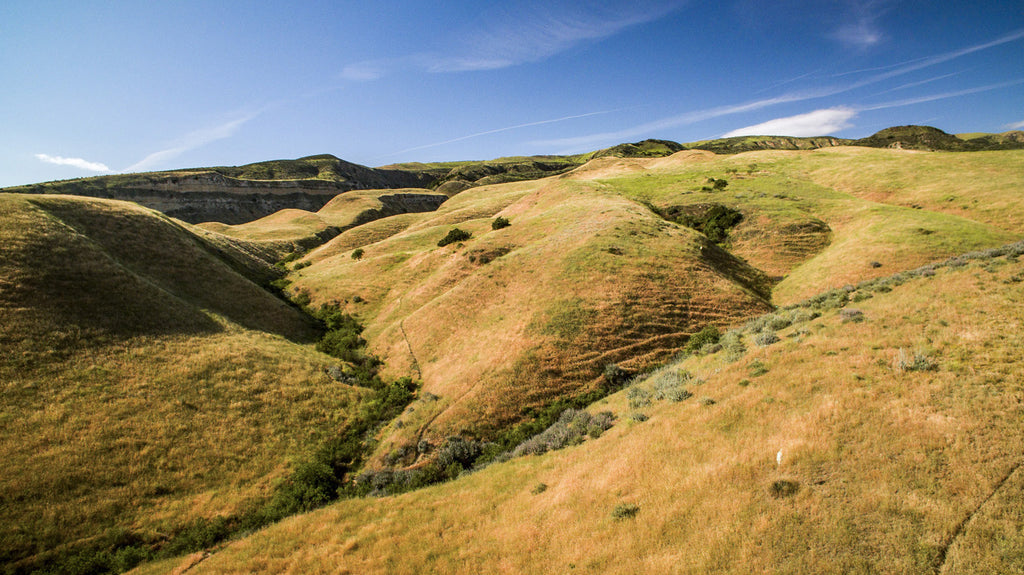 Movie Ranch - RA3126