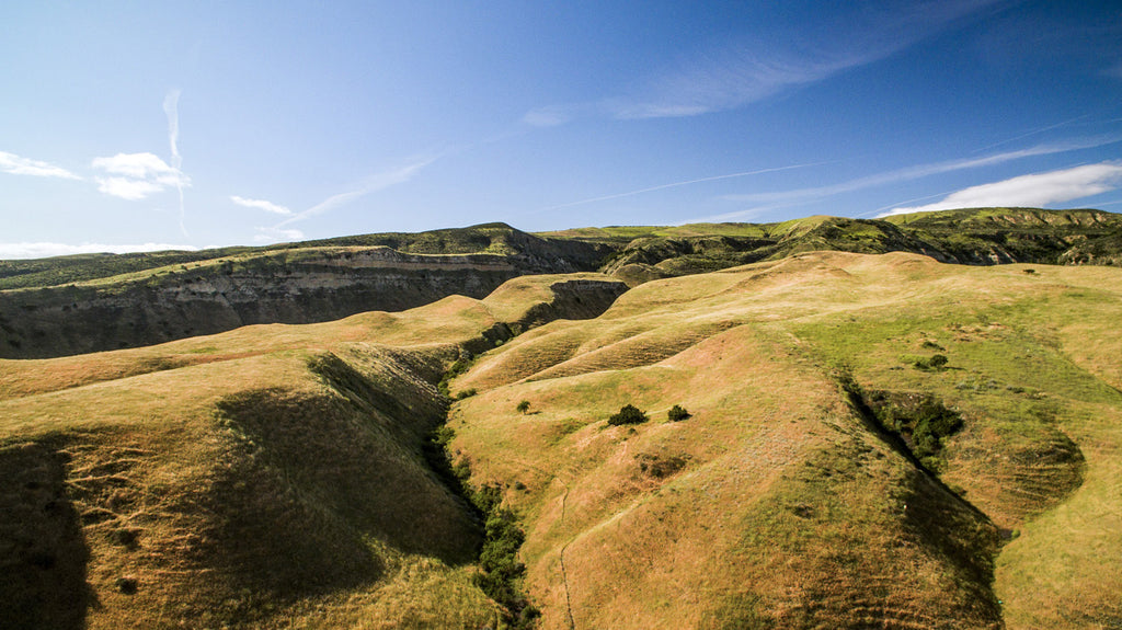 Movie Ranch - RA3126