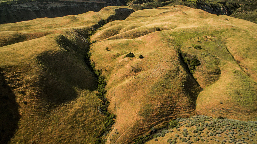 Movie Ranch - RA3126