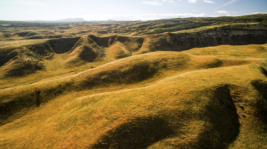 Movie Ranch - RA3126