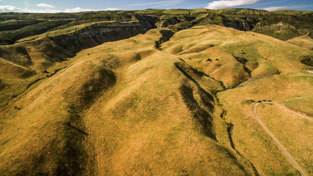 Movie Ranch - RA3126