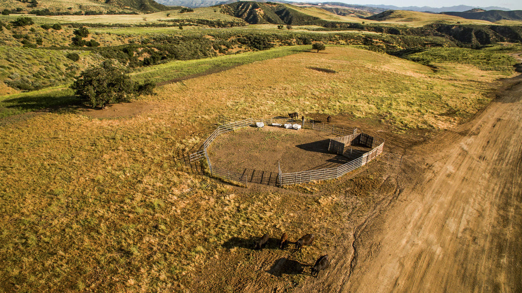 Movie Ranch - RA3126