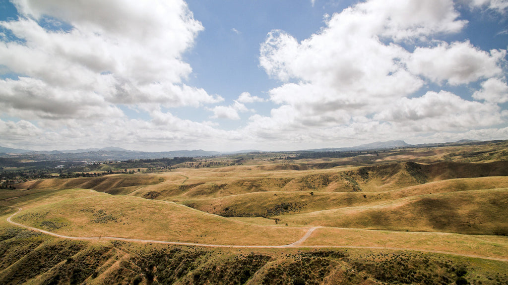 Movie Ranch - RA3126