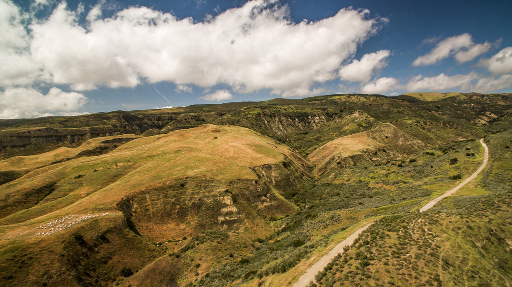 Movie Ranch - RA3126