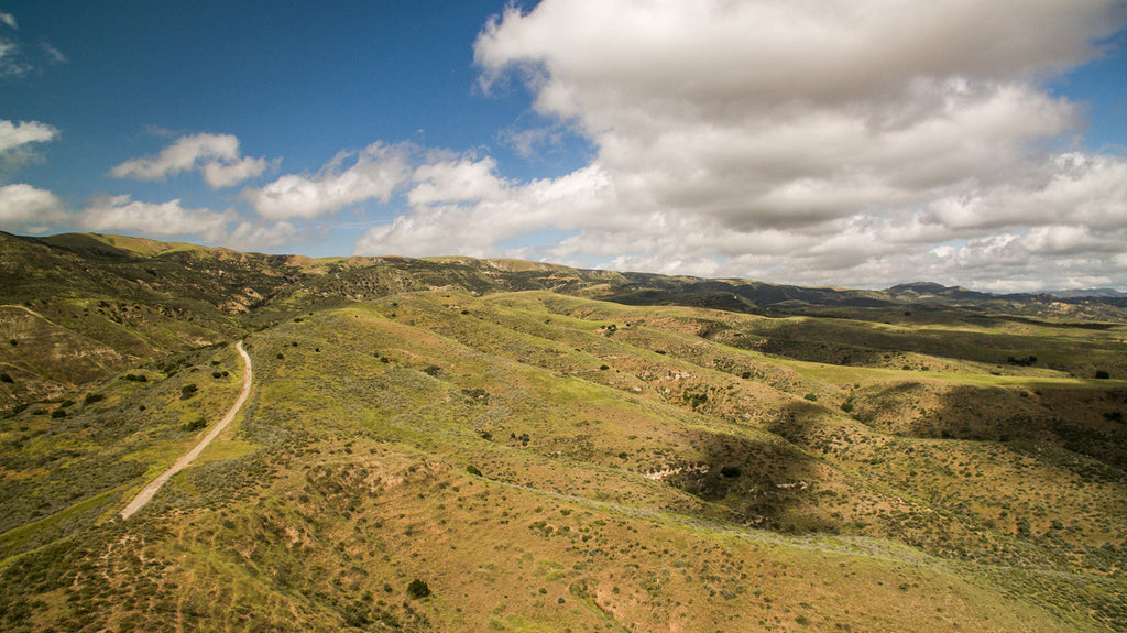 Movie Ranch - RA3126