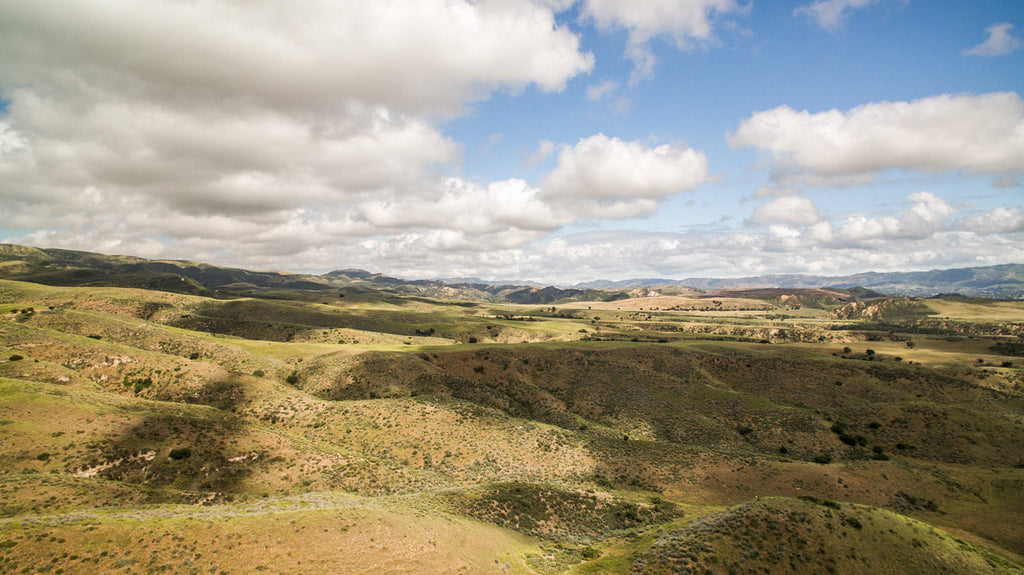 Movie Ranch - RA3126