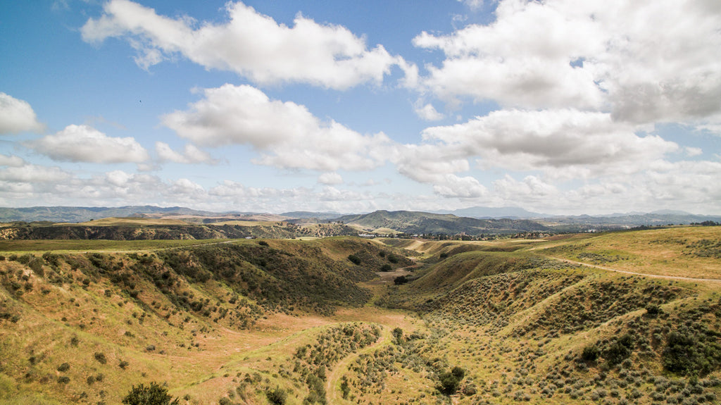 Movie Ranch - RA3126