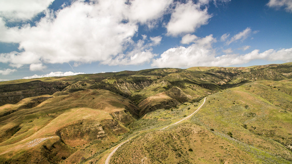 Movie Ranch - RA3126