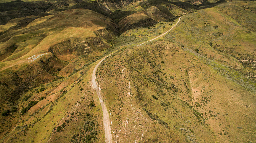 Movie Ranch - RA3126