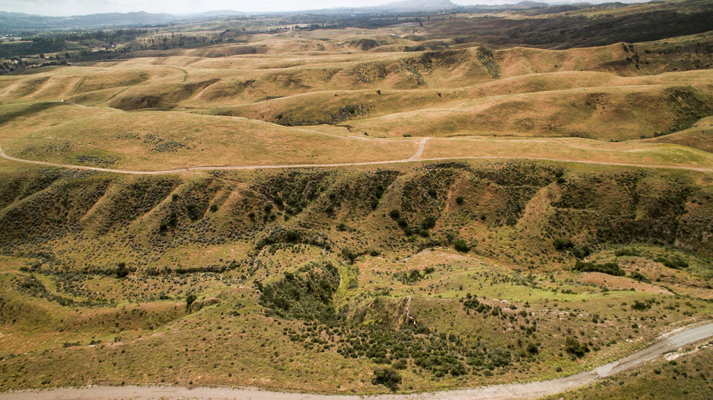 Movie Ranch - RA3126