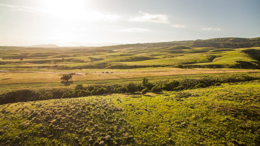 Movie Ranch - RA3126