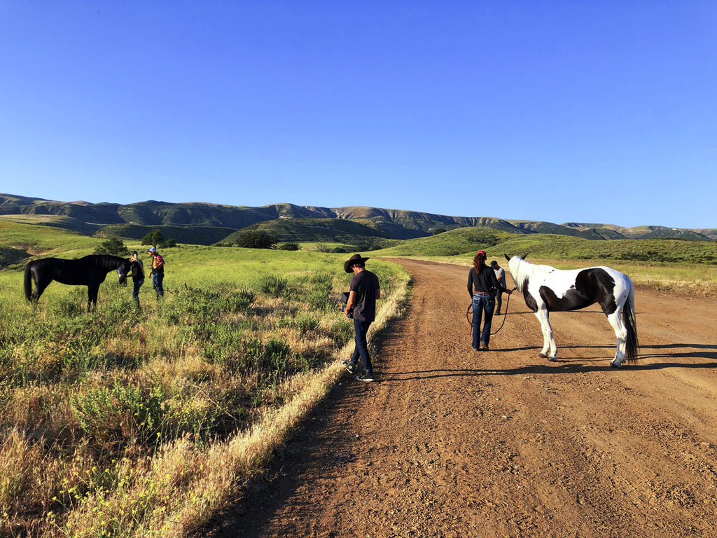 Movie Ranch - RA3126