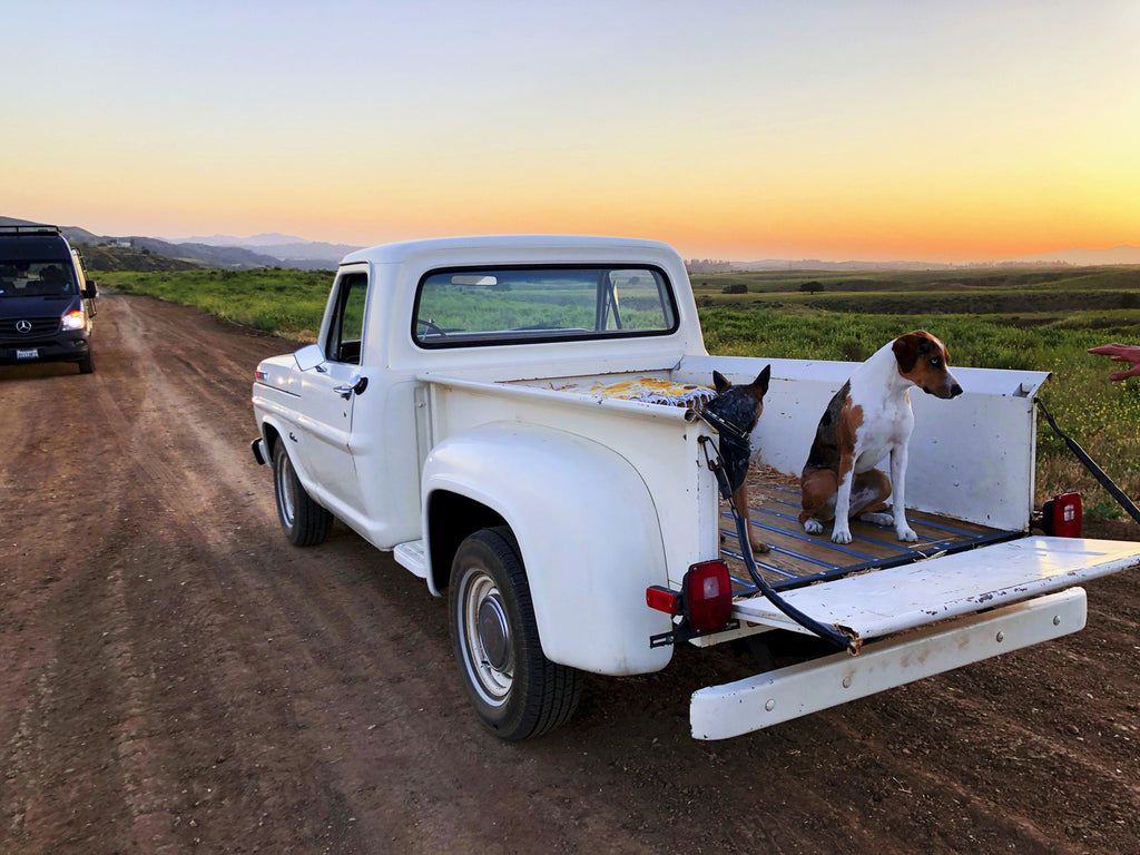 Movie Ranch - RA3126