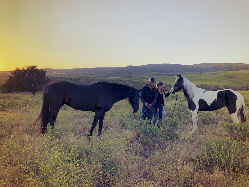 Movie Ranch - RA3126