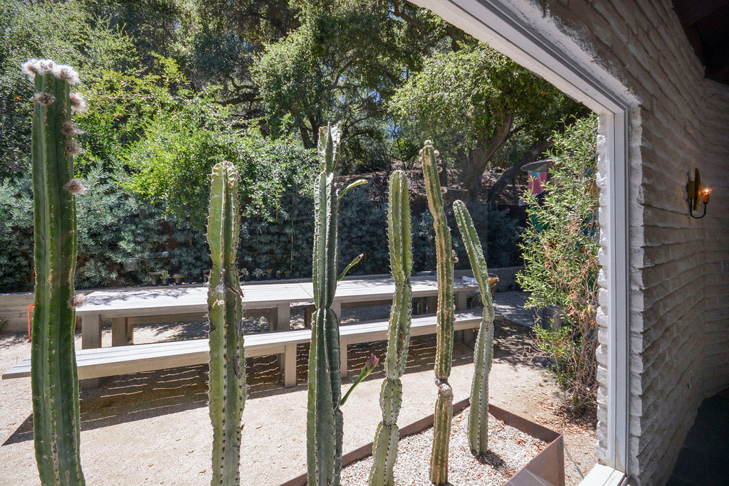 Ranch Art House - RA3146