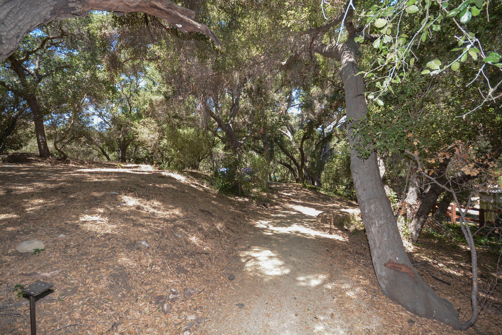 Ranch Art House - RA3146