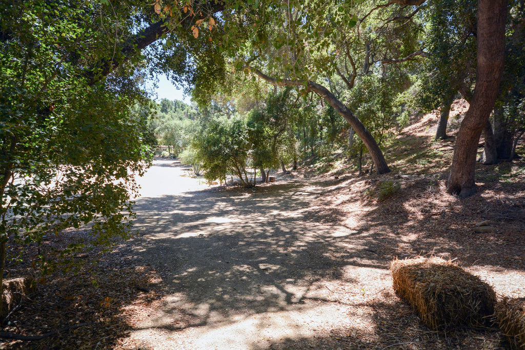 Ranch Art House - RA3146