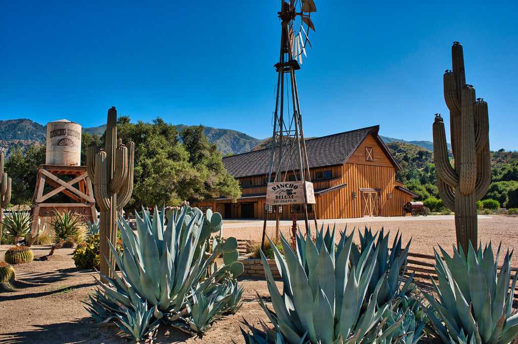 RA3155-1_Western Town