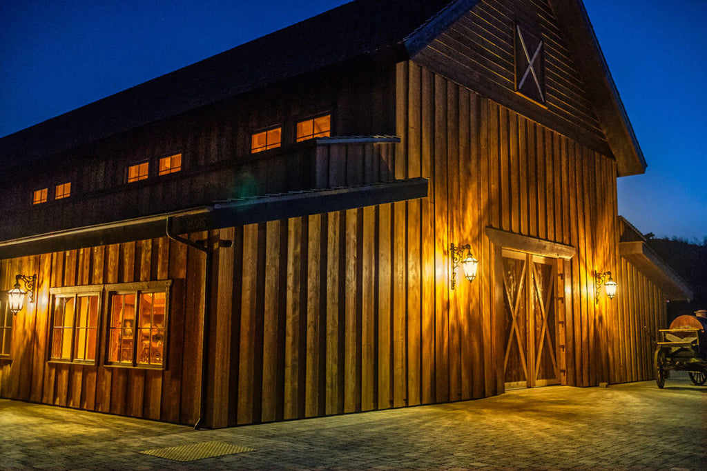 RA3155-1_Western Town