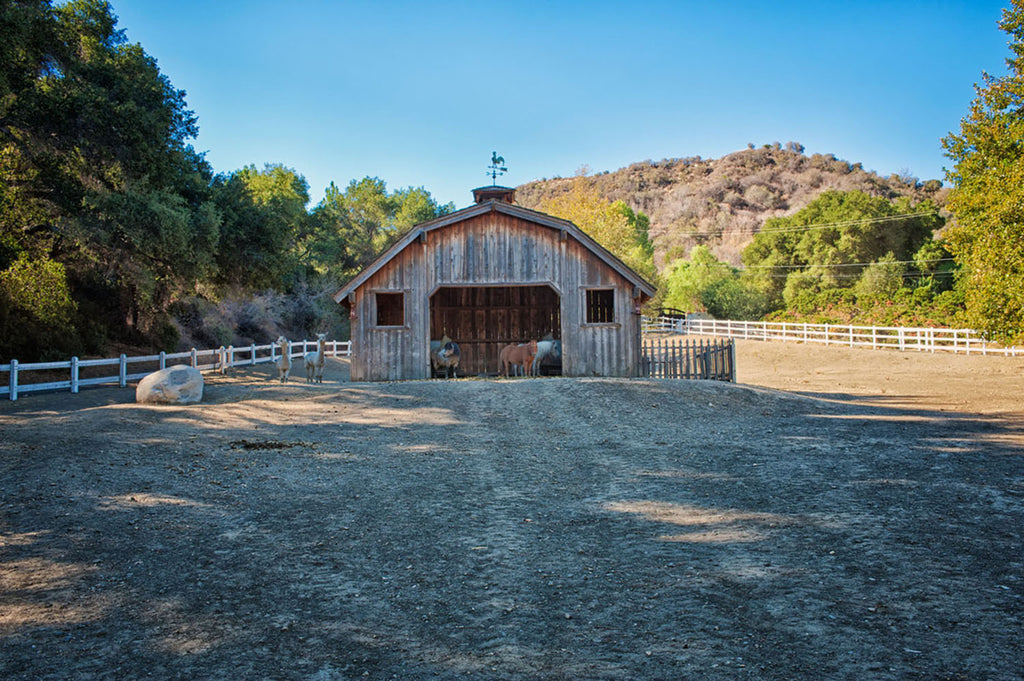 RA3155-1_Western Town