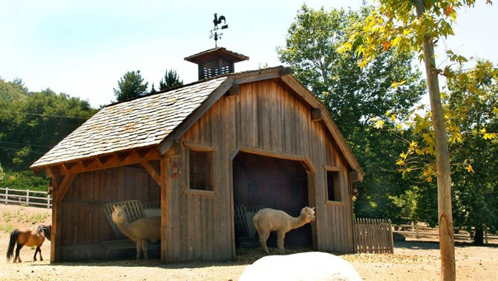 RA3155-1_Western Town